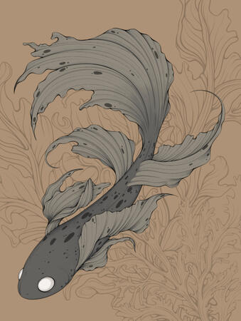 Betta Fish (2025)